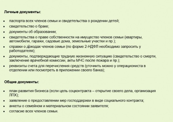 8 пунктов успешного бизнес плана для соц контракта 8 пунктов успешного бизнес плана для соц контракта